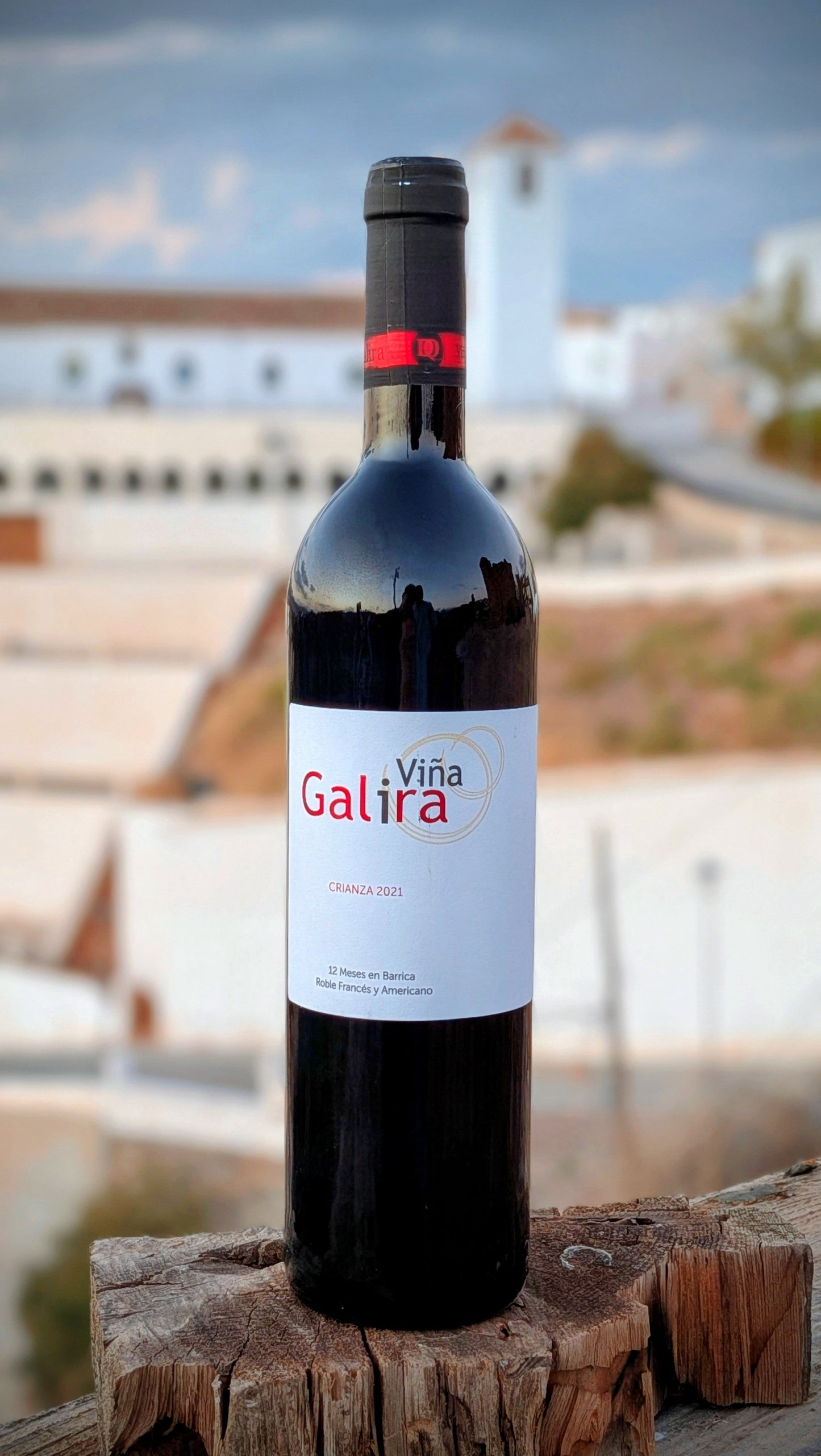 NUESTROS VINOS